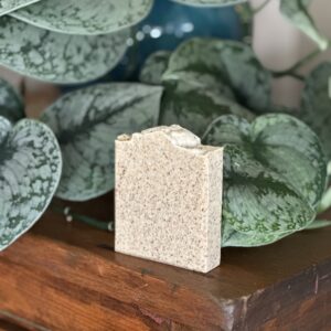 Autumn Citrus Bar