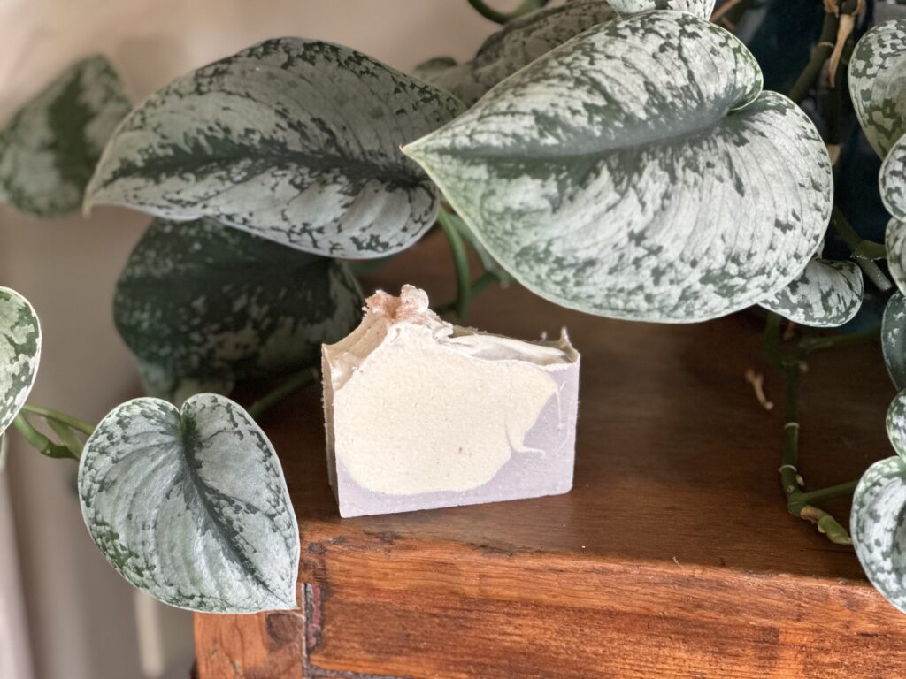 Brazilian Purple Clay & Sea Salt Bar