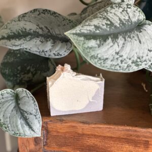 Brazilian Purple Clay & Sea Salt Bar